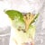 White Late 18th Century Unmarked Floral Chocolate Pot With Dimensional Flower Details For Sale - Image 8 of 13