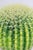Forest Green Large Cactus Table Lamp, 1980s For Sale - Image 8 of 10