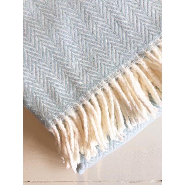 Fringed Sky Blue Herringbone Throw Blanket Chairish