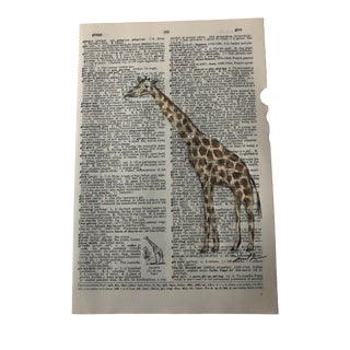 "Giraffe" Contemporary Original Colored Pencil Drawing on Vintage Dictionary Page For Sale