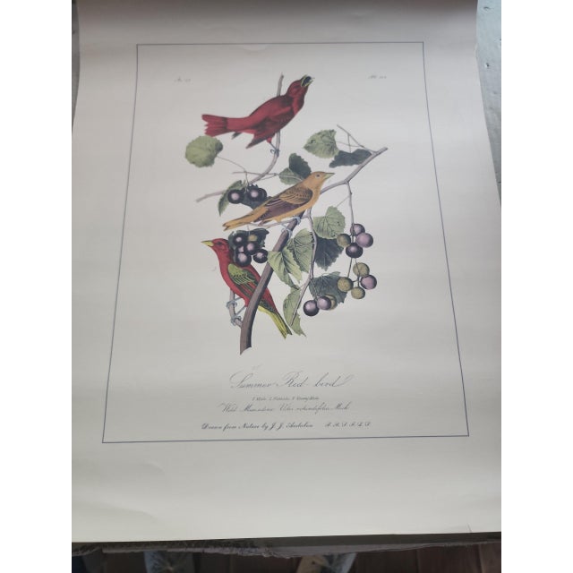 Rare set of four Audubon's Birds of America prints, released by Northwestern Mutual Life Folio in the 1950s, all in...