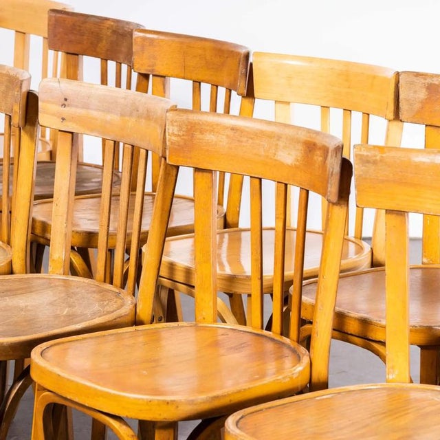 Honey Colour Bentwood Dining Chairs Harlequin from Baumann, 1950s, Set of 4 For Sale - Image 9 of 10