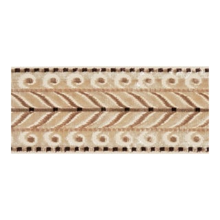 SAMPLE - Schumacher Marion Velvet Tape In Champagne For Sale