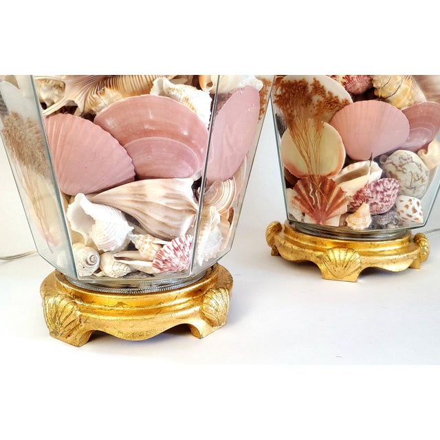 Lamp Pair Shells Seashells For Sale - Image 9 of 12