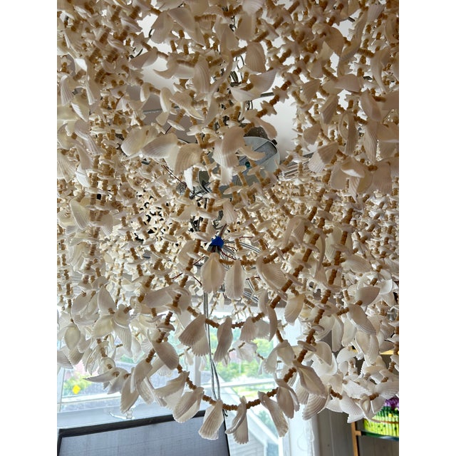 Made Goods Made Goods Cascading Shell Chandelier For Sale - Image 4 of 11