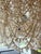Made Goods Made Goods Cascading Shell Chandelier For Sale - Image 4 of 11