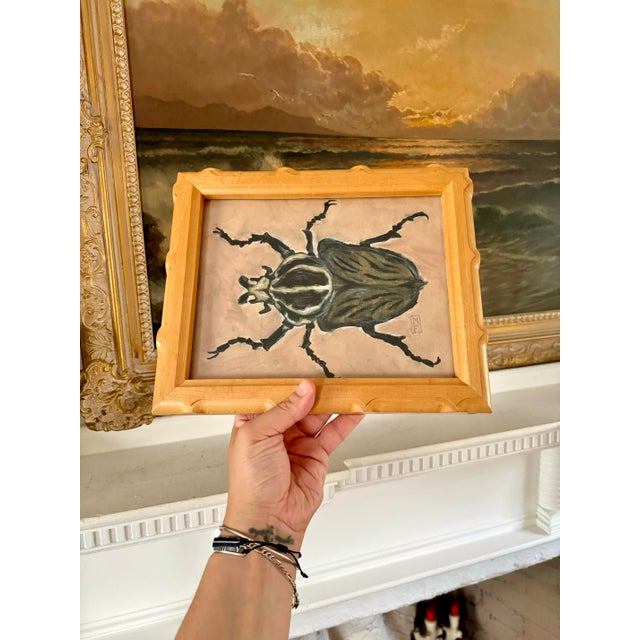 Goliath Beetle Study by Memo Faraj For Sale - Image 6 of 6
