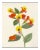Hubbard Flower, Small: 1892 Artwork, Unframed Artwork For Sale
