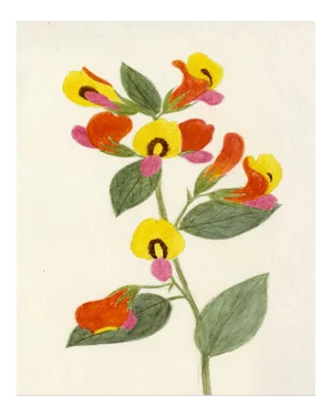 Hubbard Flower, Small: 1892 Artwork, Unframed Artwork