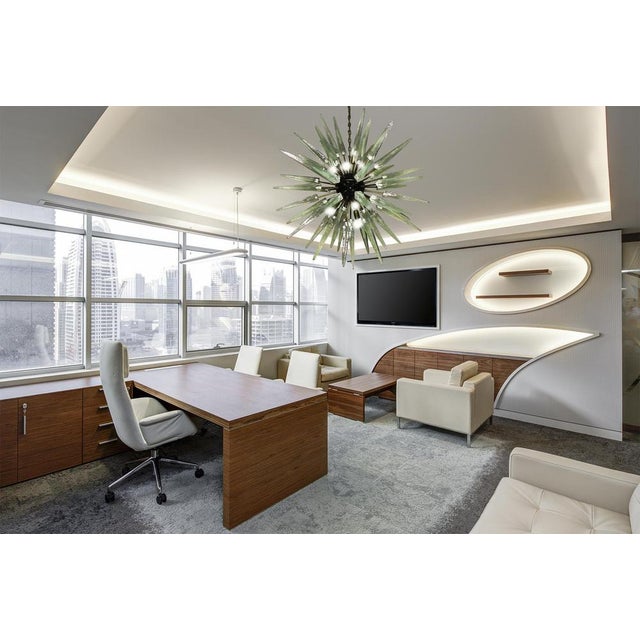 Sputnik Murano Glass Pendants, Set of 2 For Sale - Image 10 of 16