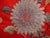 Textile Red Silk Chinese Embroidery of a Dragon 19 Century For Sale - Image 7 of 15