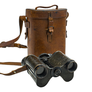 Antique Pair of Cased Binoculars, English, Brass, Optical Instrument, Victorian