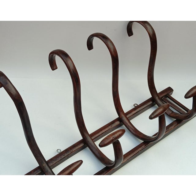 Wall Coat Rack in Bentwood, 1950s For Sale - Image 4 of 9