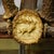 Wood Antique Black Forest Mirror With Antler Arrangement Ca. 1920s For Sale - Image 7 of 8