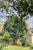 Not Yet Made - Made To Order French Country Impressionist Landscape Art Print – Cottage Garden, 10" X 13" For Sale - Image 5 of 9