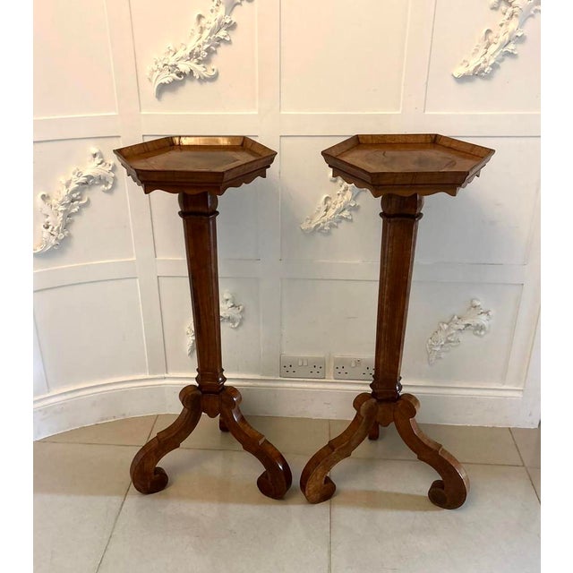 Antique Dutch Walnut and Kingwood Pedestal Torcheres, 1800, Set of 2 For Sale - Image 17 of 17