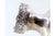Rounded Silver Vase with Engraved Floral Rim Motifs For Sale - Image 6 of 9