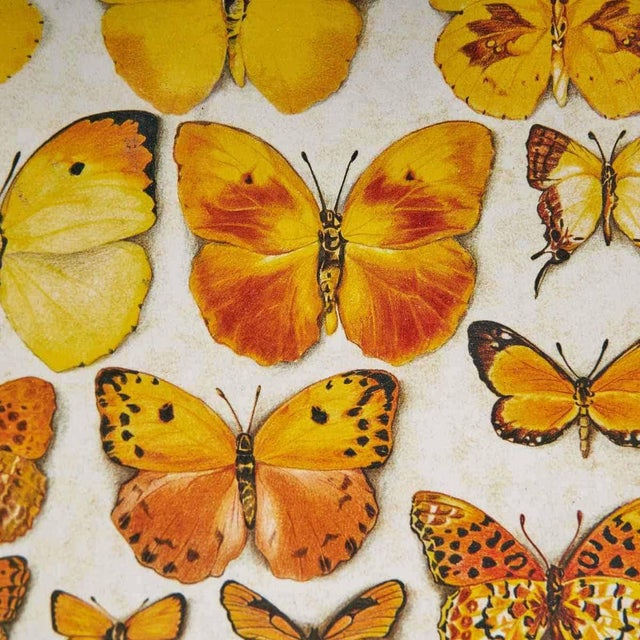 Unknown, Colorful Butterflies, 1970s, Wood For Sale - Image 3 of 5