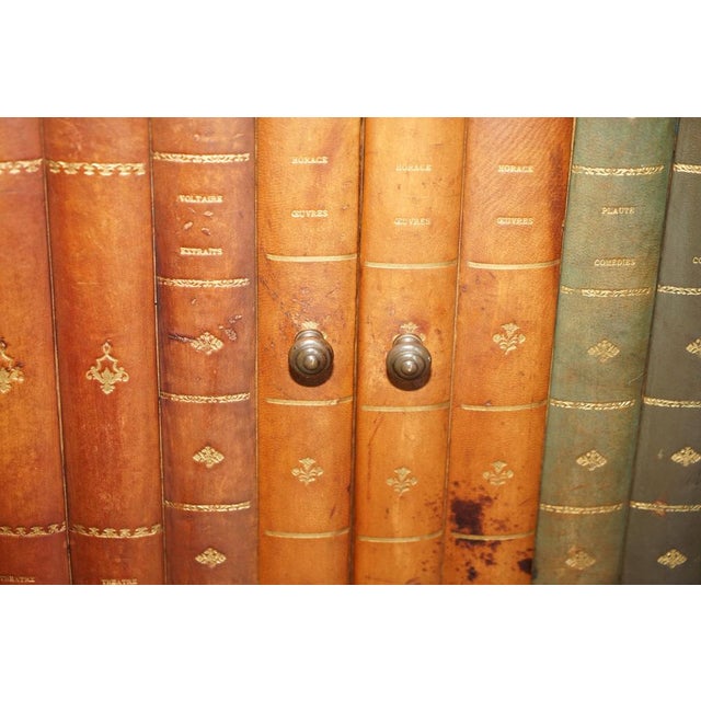 Animal Skin Antique French Bookcase with Marble Top For Sale - Image 7 of 18