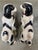Late 19th Century Staffordshire Spaniels, a 19th Century Pair For Sale - Image 5 of 8