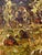 Oil Painting After Haymaking Oleksiy Ivanyuk For Sale - Image 9 of 12