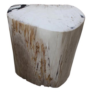 Andrianna Shamaris Soft Toned Rare High Quality Petrified Wood Side Table For Sale