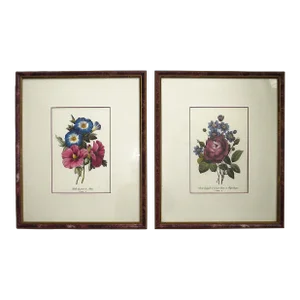 Pair of French P. J. Redoute Floral Lithographs Prints Morning Glories & Roses Floral Flowers Framed