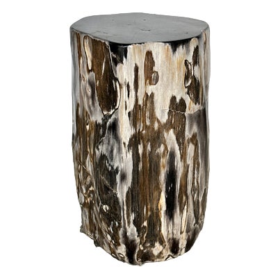 Side Table in Multicolor Petrified Wood with Black Heart For Sale