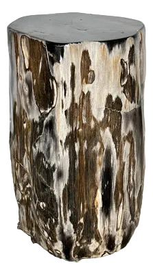 Side Table in Multicolor Petrified Wood with Black Heart