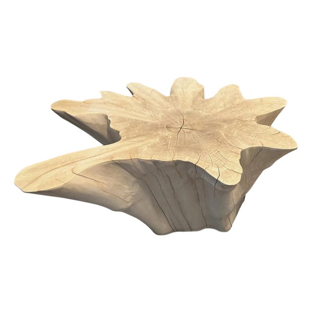 Andrianna Shamaris Amorphous Bleached Teak Wood Coffee Table For Sale