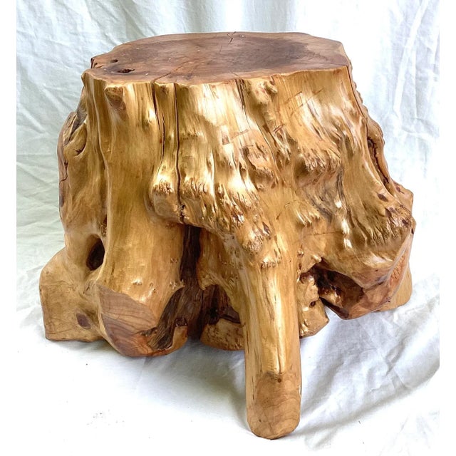 Cabin 1980s Vintage Cabin Tree Root Trunk Stool For Sale - Image 3 of 9