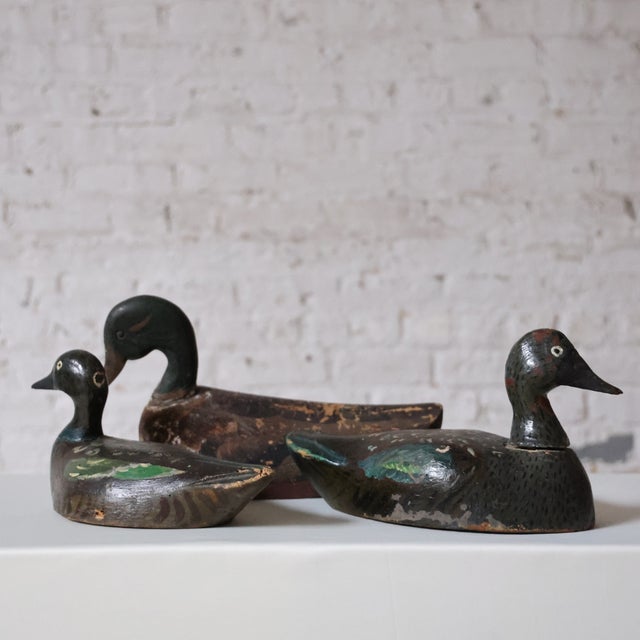 19th Century French Handcarved Wooden Duck Decoys- Set of 4 For Sale - Image 4 of 5