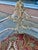 Late 19th Century French Rococo Louis XV Ornately Carved Painted Distressed Corner Captain's Chair For Sale - Image 4 of 12