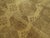 Green Early 20th Century Large Ersari Rug - 11'1" x 14'1" For Sale - Image 8 of 10