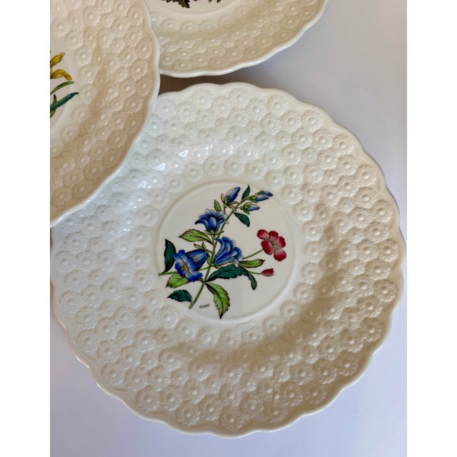 Vintage Spode Copeland England Botanical Luncheon Plates — Set of 10 For Sale - Image 10 of 16
