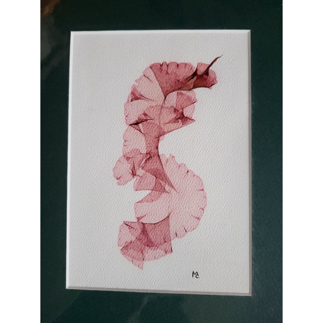 Archival giclée prints from the much celebrated dissections of the algae. Matted and ready for framing. Perfect for your...