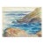 1940s Grace Spongberg Hanauma Bay Hawaii Drawing For Sale