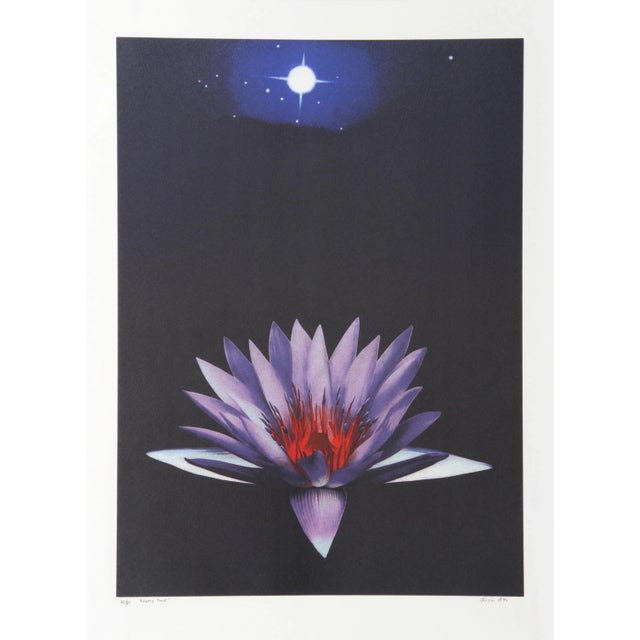 Contemporary Michael Knigin, Lonely Tune, Lithograph For Sale - Image 3 of 3