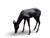 A charming bronze sculpture depicting a young deer grazing, beautifully modelled in a naturalistic and peaceful pose. with...
