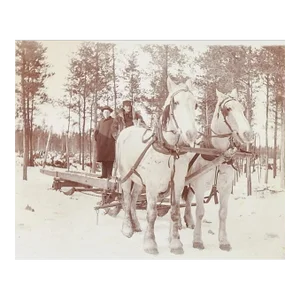Antique Horse Drawn Logging Sled Winter Snow Photograph