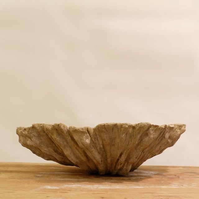 Antique Concrete Shell Bird Bath For Sale - Image 3 of 14