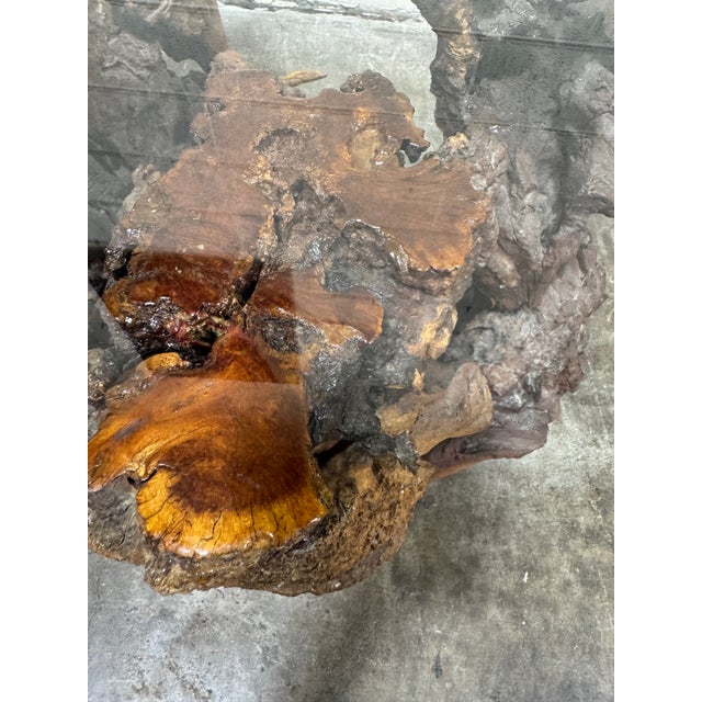 Mid Century Burl Wood Coffee Table For Sale In Richmond - Image 6 of 8
