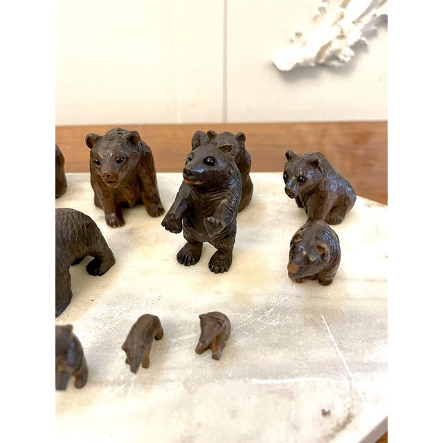 Brown Small 19th Century Carved Oak Black Forest Bears, 1860s, Set of 15 For Sale - Image 8 of 16