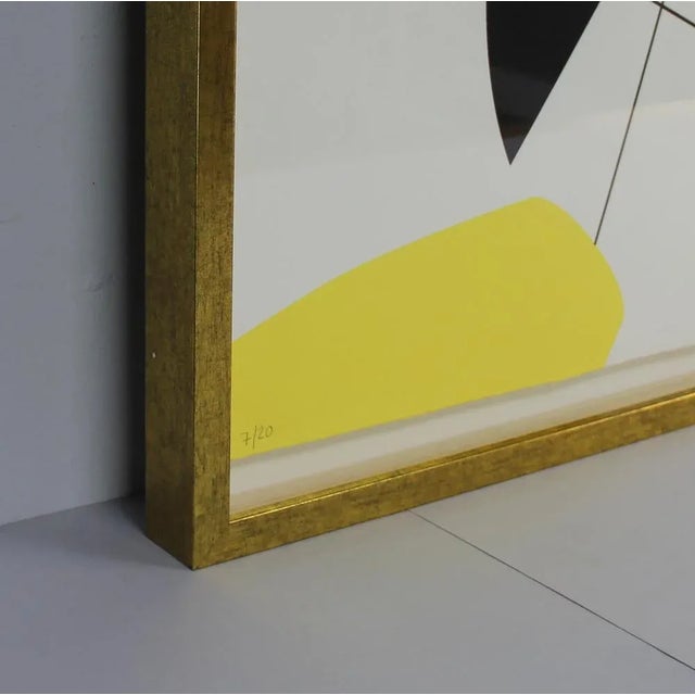 Mercedes Clemente, Abstract Compositions, Silk-Screens, 2000s, Set of 2 For Sale - Image 9 of 11