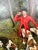 1980s English Sporting Style Oil Painting, Huntsman & Hounds, Ornate Gilt Frame 1980's For Sale - Image 5 of 14