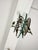 Six-Light Chandelier in Brass and Nile Green Murano Glass, 1960s For Sale - Image 13 of 14