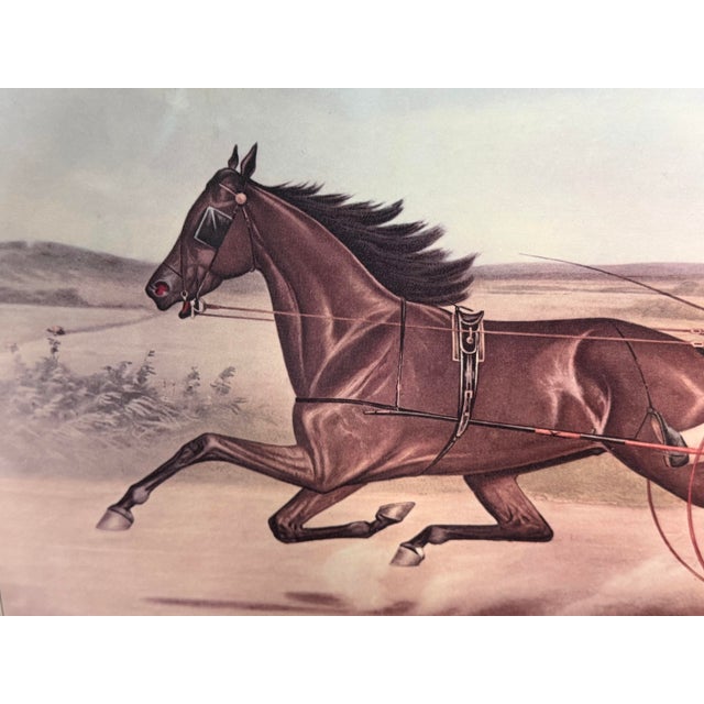 Printmaking Materials Mid 20th Century Framed “Harry Wilkes” Harness Racing Horse Print | Victorian Trotting Horse Lithograph | Equestrian For Sale - Image 7 of 8