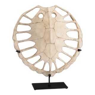 Wildwood Sulcata Fiberglass Turtle For Sale
