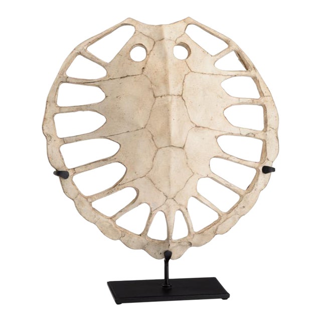 Wildwood Sulcata Fiberglass Turtle For Sale