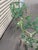 1970s 1970s Large Verdigris Wrought Iron Standing Planters With Decorative Dangling Rose and Leaf Motif, a Pair For Sale - Image 5 of 12